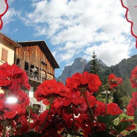 Dolomites Holidays Selva di Cadore Δωμάτιο φωτογραφία