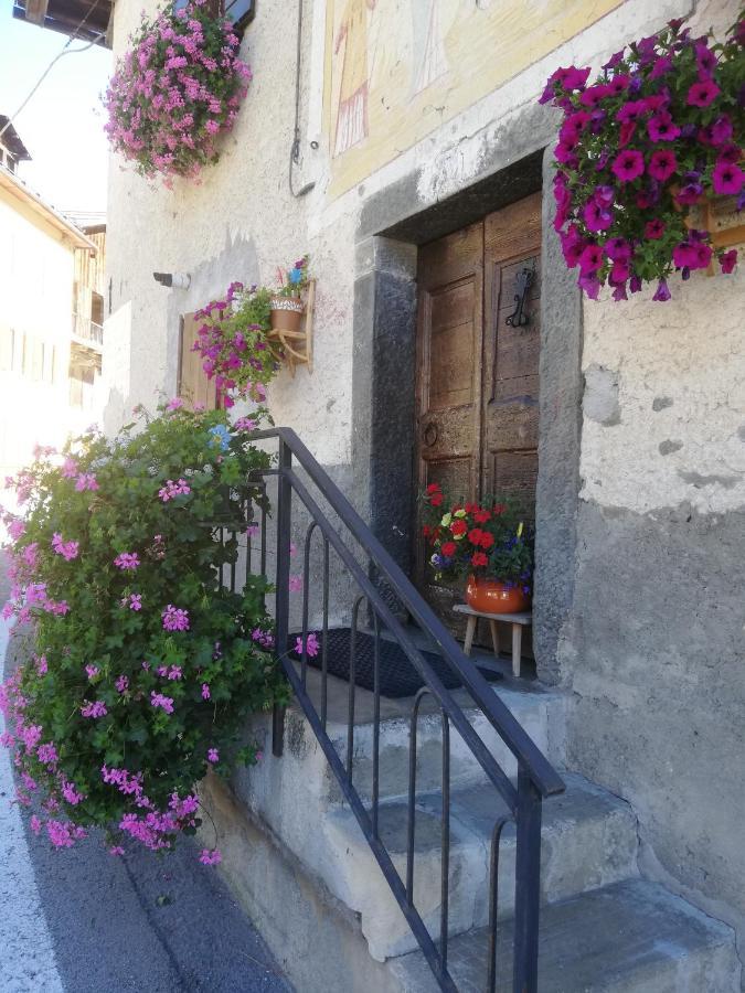 Dolomites Holidays Selva di Cadore Εξωτερικό φωτογραφία